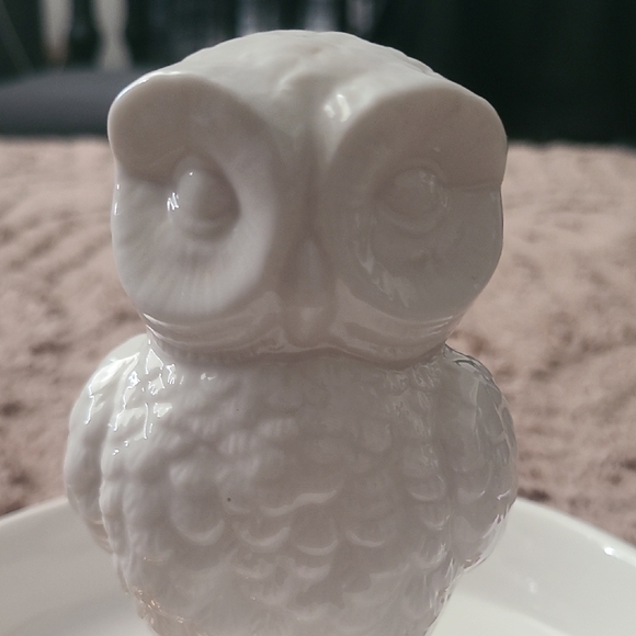 White Ceramic Owl Jewelry Dish Ring Holder Trinket Tray - Picture 7 of 8